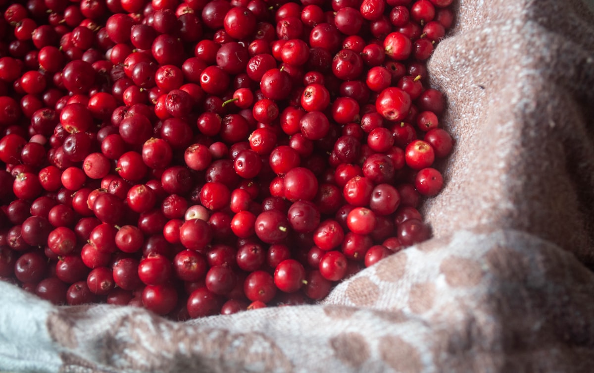Maliny – vlákno a flavonoidy